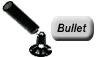 Bullet Cameras